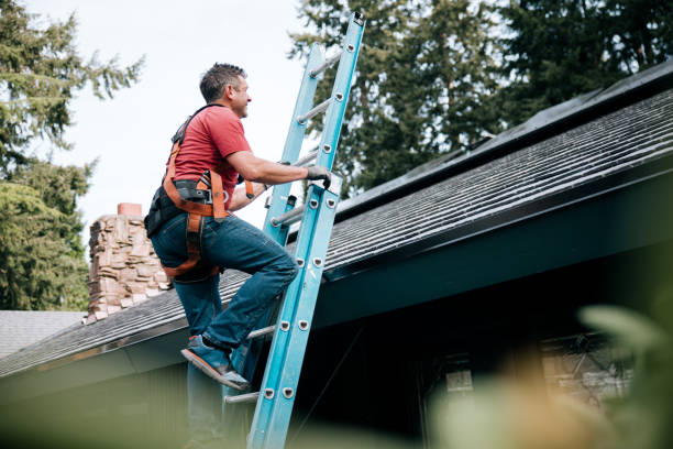 Best Roof Moss and Algae Removal  in St George, KS